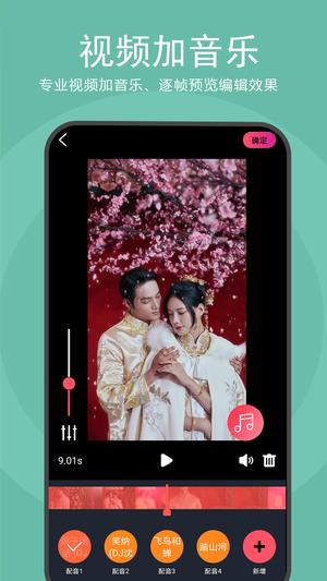 去水印视频解析直装版图3