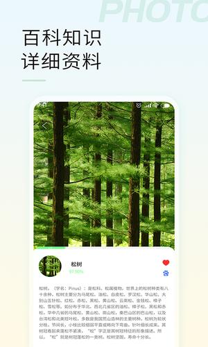 智能拍照识物正版图3