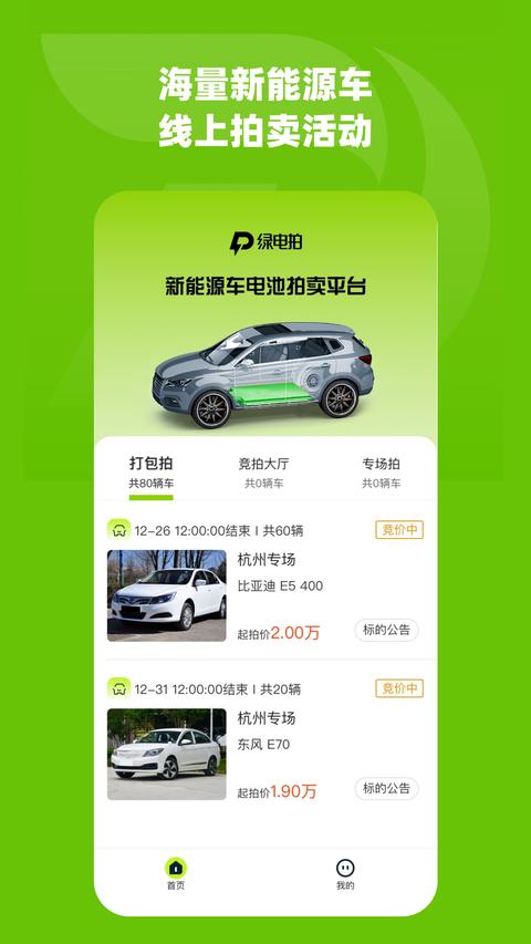 绿电拍图1